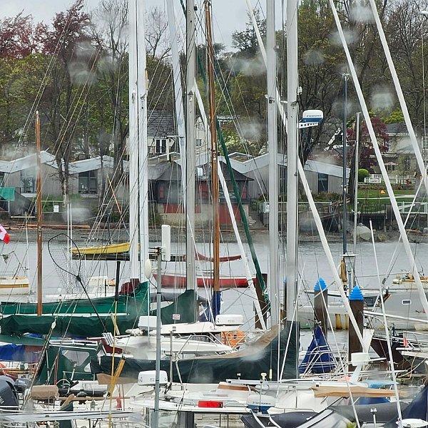 Rainy Day at Oak Bay Marina