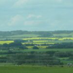 Farm Lands of Alberta