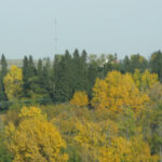 Fall Colors near Bearspaw, Calgary