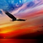 independence_day_usa_8-wallpaper-1680×1050