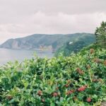 Devon coast line from Lynton, Devon