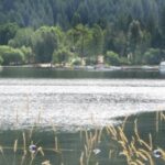 House Boats at Blind Bay / Shuswap Lakes (nr/Sorrento)