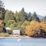 Fall Colors on Salt Spring Island