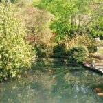 Summer – Pond at Beacon Hill Park – Victoria, Vancouver island