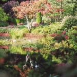 Fall colors and reflections at Butchart Gardens, Victoria