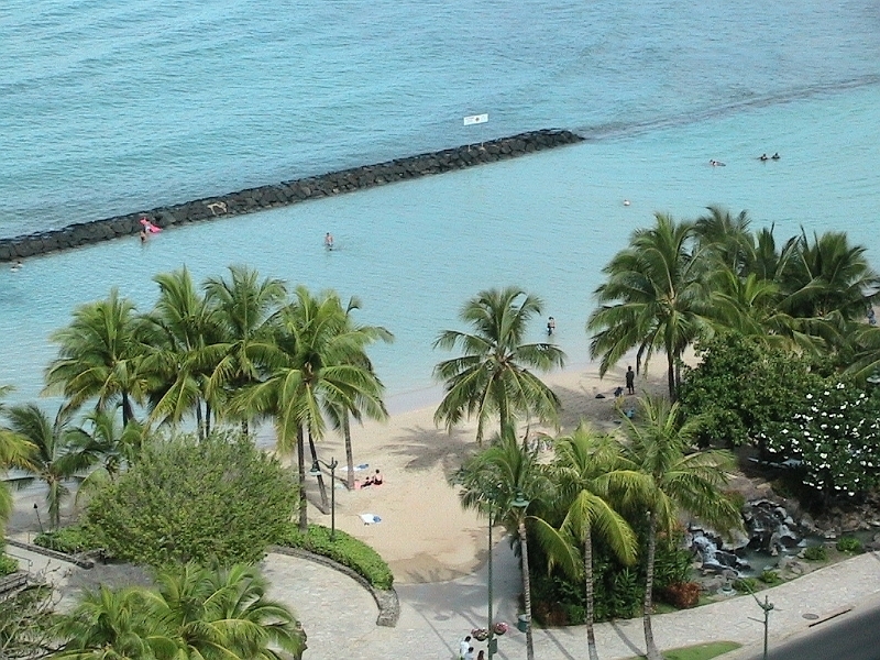 Looking down at Palm Trees and Blue Ocean at Waikiki Beach