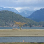 An artistic view at Harrison Lake – Harrison Hot Springs, Near Vancouver