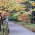 Fall walkway