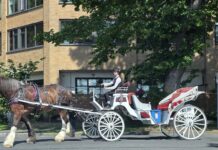 New Experience is coming…