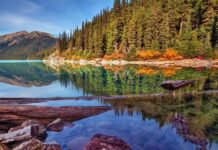 Happy Thanksgiving – NEW Site is LIVE